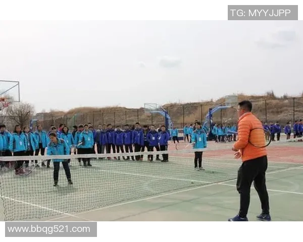 武汉排球队的灵活性探讨与排球战术创新之路